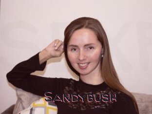 Sandybush