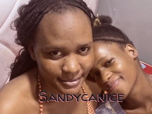 Sandycanice