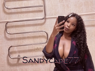 Sandycape77