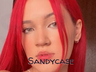 Sandycase