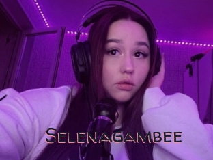 Selenagambee