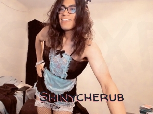 Shinycherub