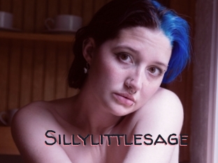 Sillylittlesage