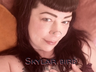 Skylar_bird