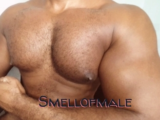 Smellofmale