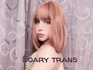 Soary_trans