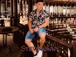 Stevebunny