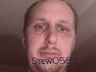 Stew058