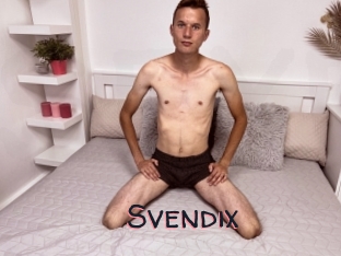 Svendix