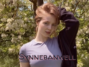 Synnebanwell