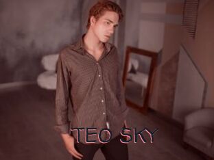 TEO_SKY