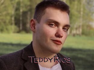 TeddyRios