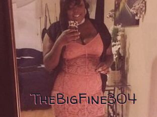 TheBigFine304