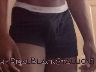 TheRealBlackStallion1