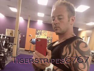 Tigerstripes6767