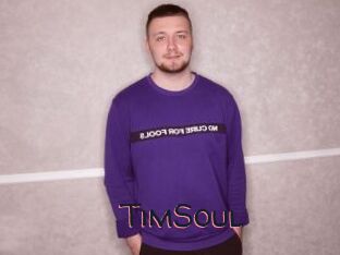 TimSoul