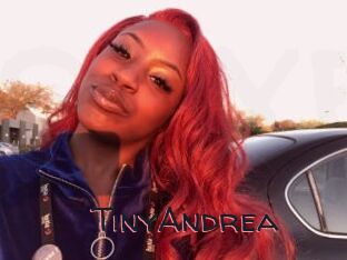 TinyAndrea