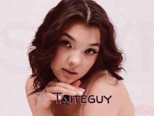 Taiteguy