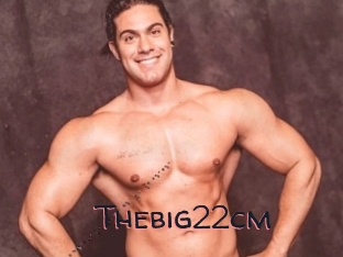 Thebig22cm