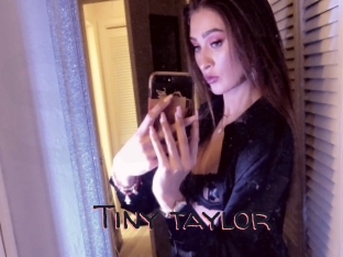 Tiny_taylor