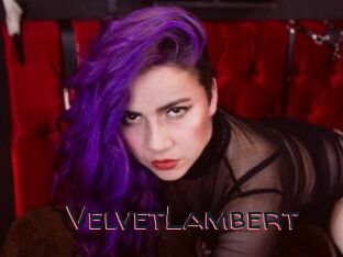 VelvetLambert