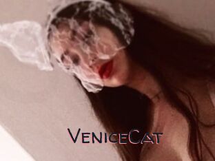 VeniceCat