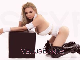 VenusBanks