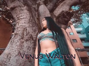 Venus_Walton