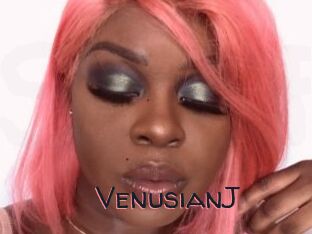 VenusianJ