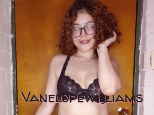 Vanelopewilliams