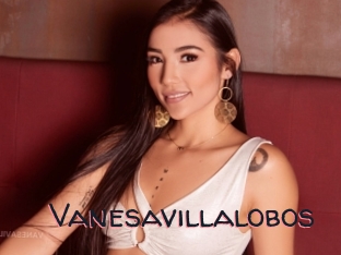 Vanesavillalobos