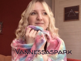 Vannessaspark