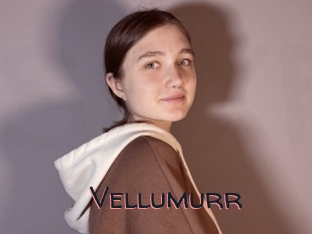 Vellumurr