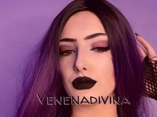 Venenadivina