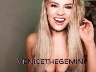 Venicethegemini