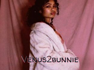 Venus2bunnie