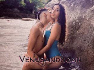 Venusandnoah