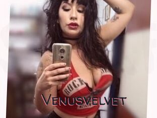 Venusvelvet