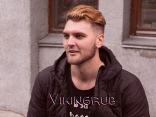 Vikingrub