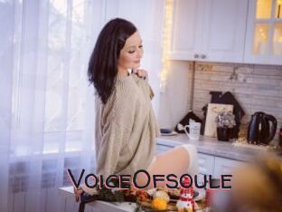 VoiceOfsoule