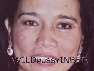 WILDpussyINBED