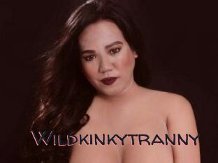 Wildkinkytranny