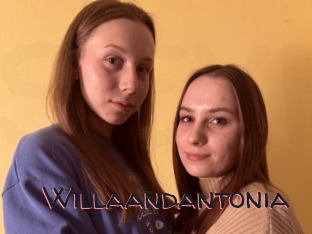 Willaandantonia