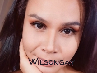 Wilsongay