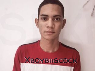 Xboybiigcock