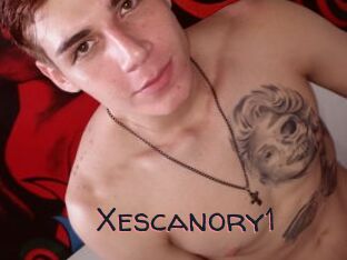 Xescanory1