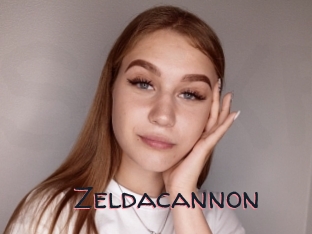 Zeldacannon